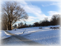 View of Montreal from Mount Royal