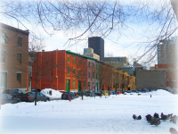 Alexander Street in Downtown Montreal